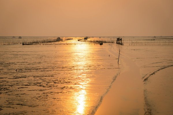 Où découvrir les traditions artisanales de la poterie en Tunisie : ateliers et marchés recommandés ?