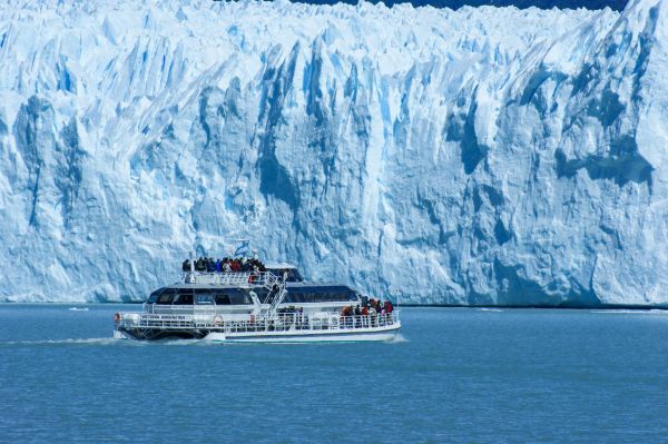 Comment choisir une croisière qui propose des excursions pour observer les ours polaires en Arctique?