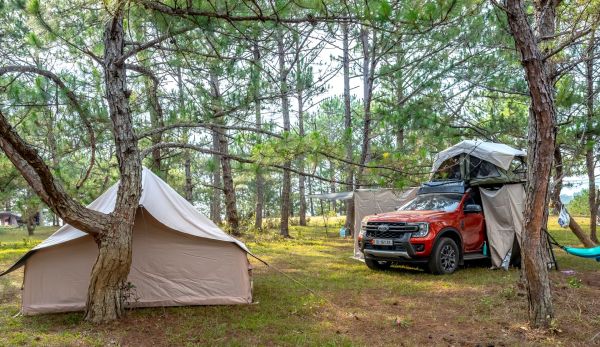 Quels sont les avantages du camping en région de mangroves et comment s'y préparer?