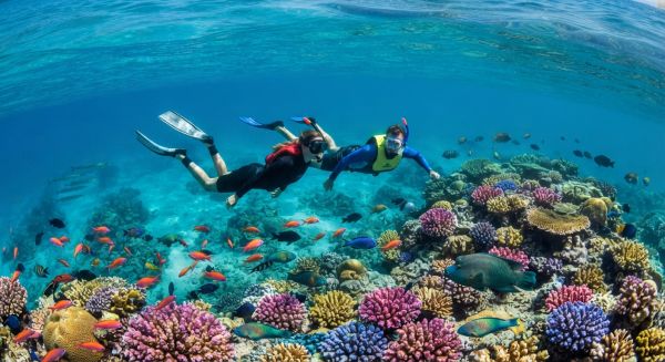 Quels sont les meilleurs spots pour faire du snorkeling à la Grande Barrière de corail, Australie?